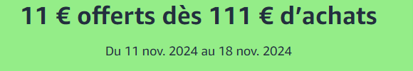 Amazon-fr-11-€-offerts-dès-111-€-d’achats-promotion-11-11-2024_02_19_PM.png