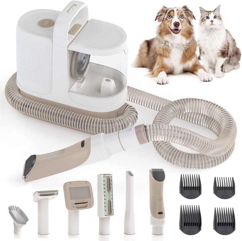 aspirateur animaux.jpg