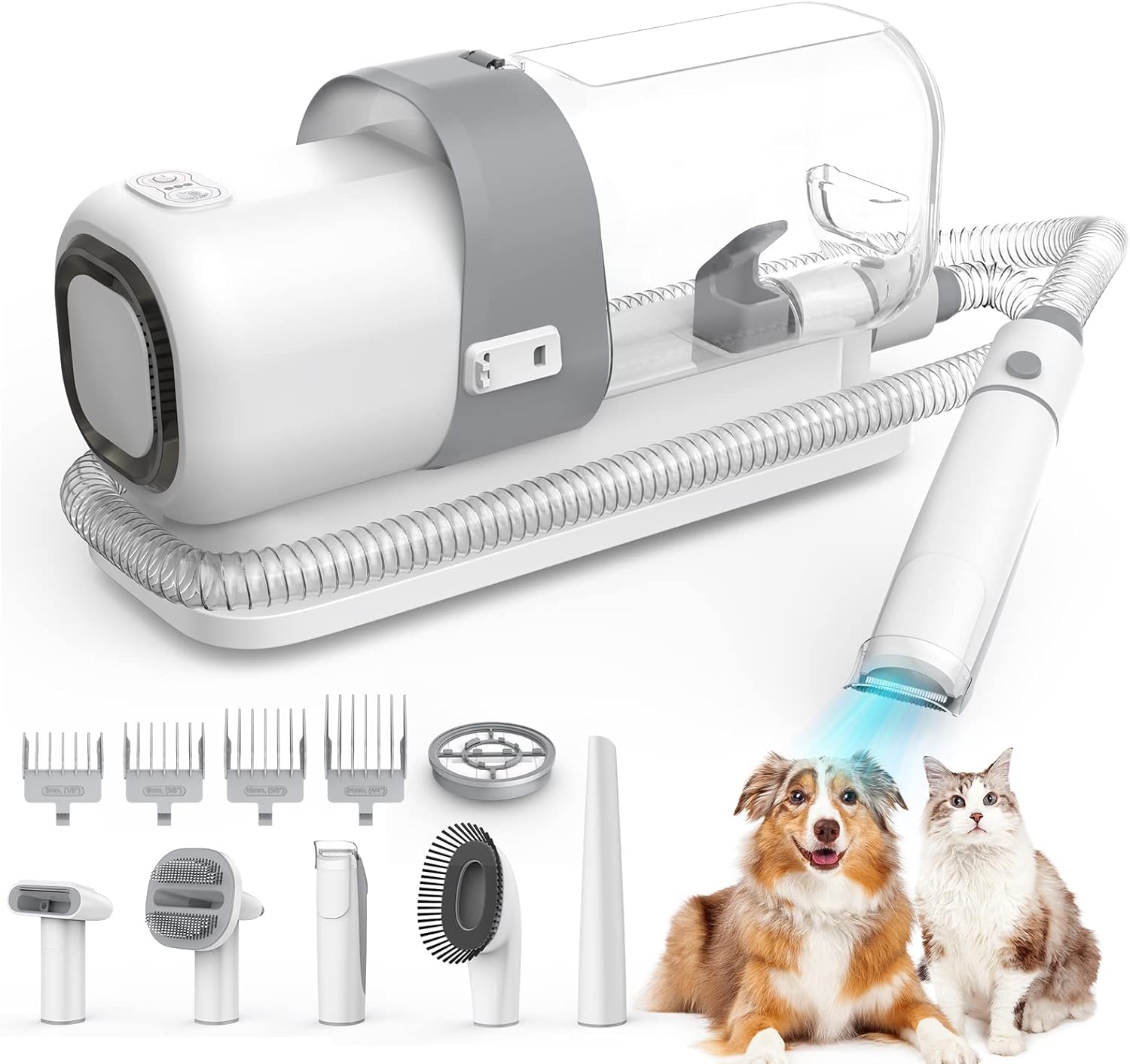 aspirateur poil de chien.jpg