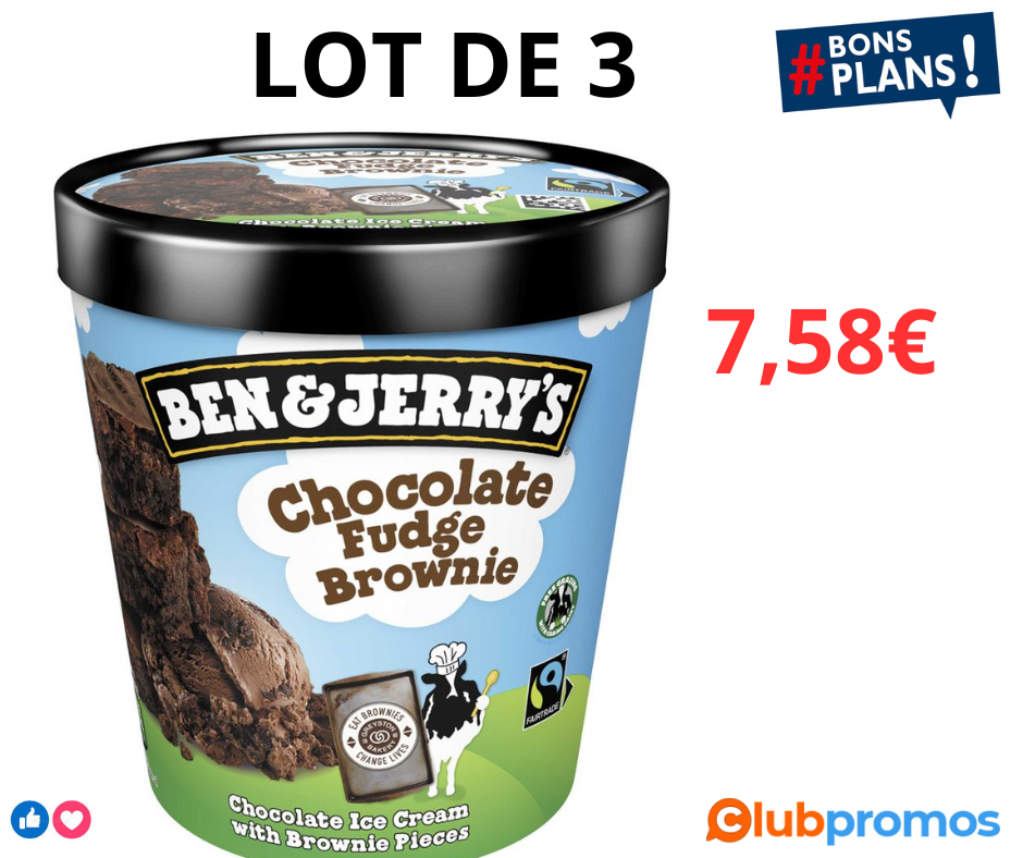 Ben & Jerry's Chocolate Fudge Brownie 1 pot offert pour 2 achetés.png