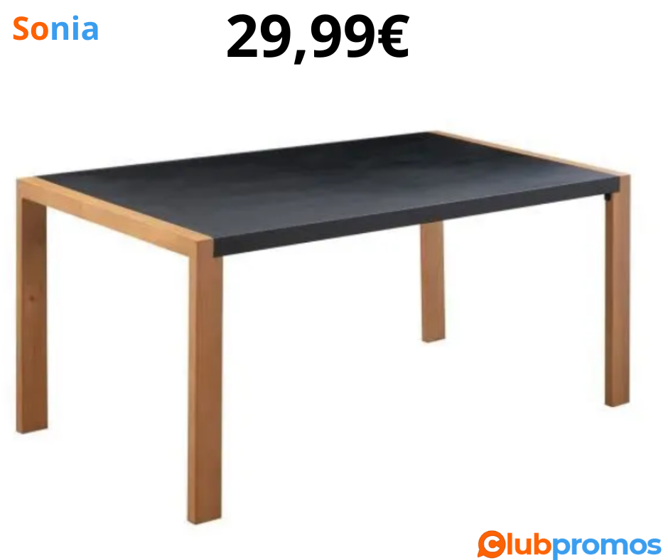 Bon Plan Table à manger de jardin - Acier thermolaqué + Pieds en bois + Trivanite.png