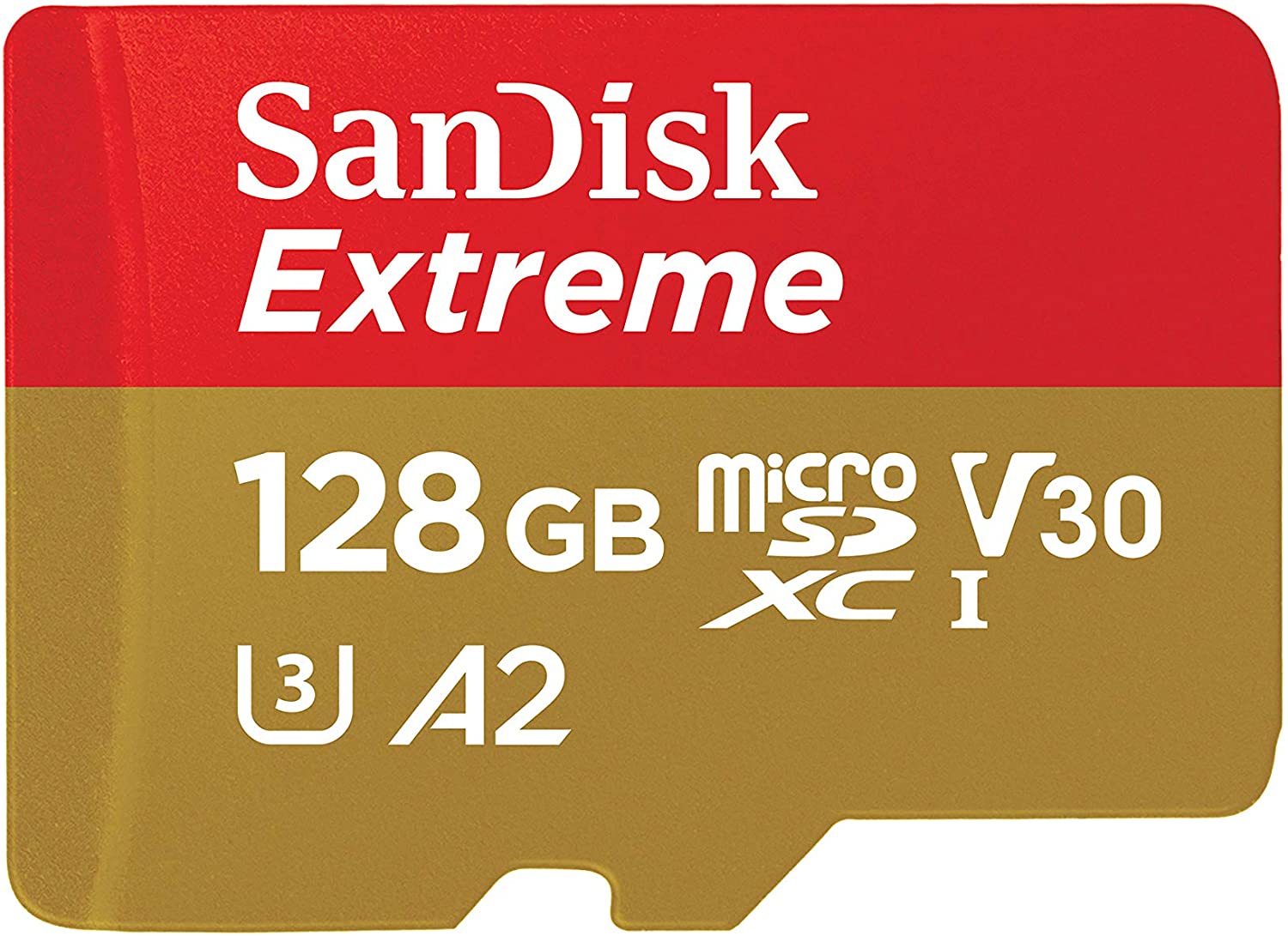 carte sandisk.jpg