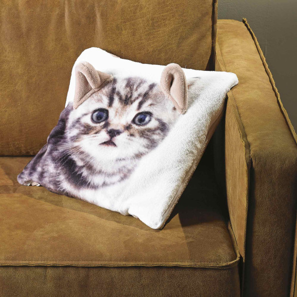 coussin-plaid-chat-4.jpg