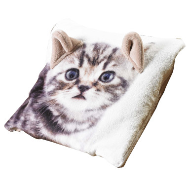 coussin-plaid-chat.jpg