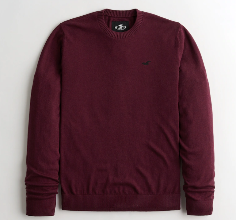 Gars-Pull-ras-du-cou-Gars-Hauts-HollisterCo-com.png