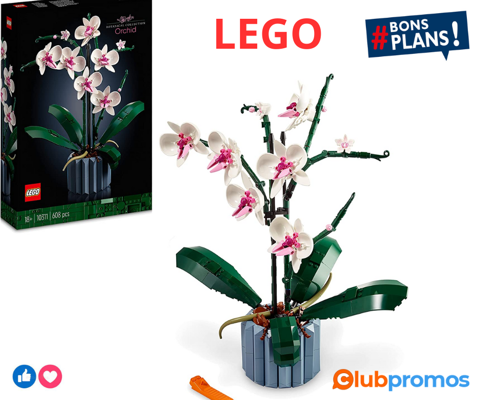 Lego 10311 Icons L’Orchidée Plantes avec Fleurs Artificielles d'Intérieur pour Décoration de M...png