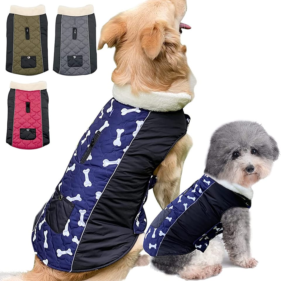 manteau chien.jpg