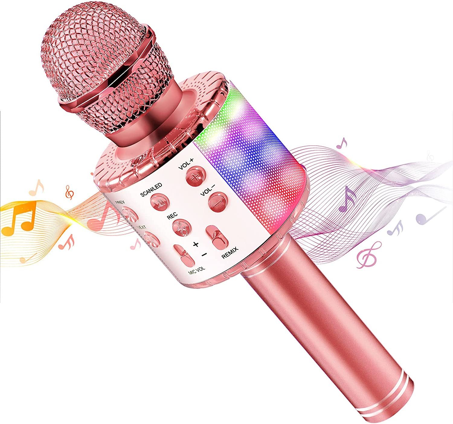 micro karaoke.jpg