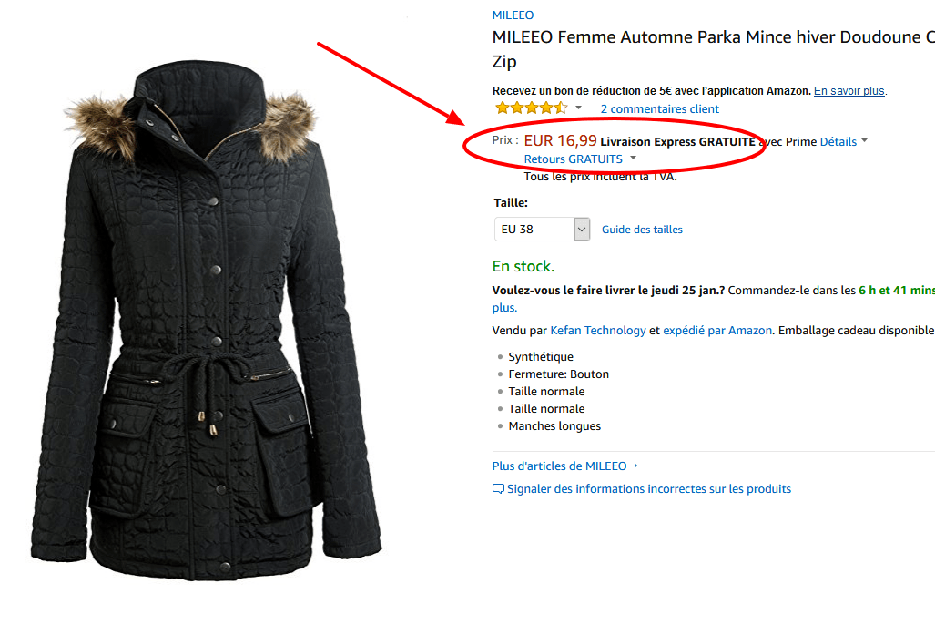 MILEEO Femme Manteau.png