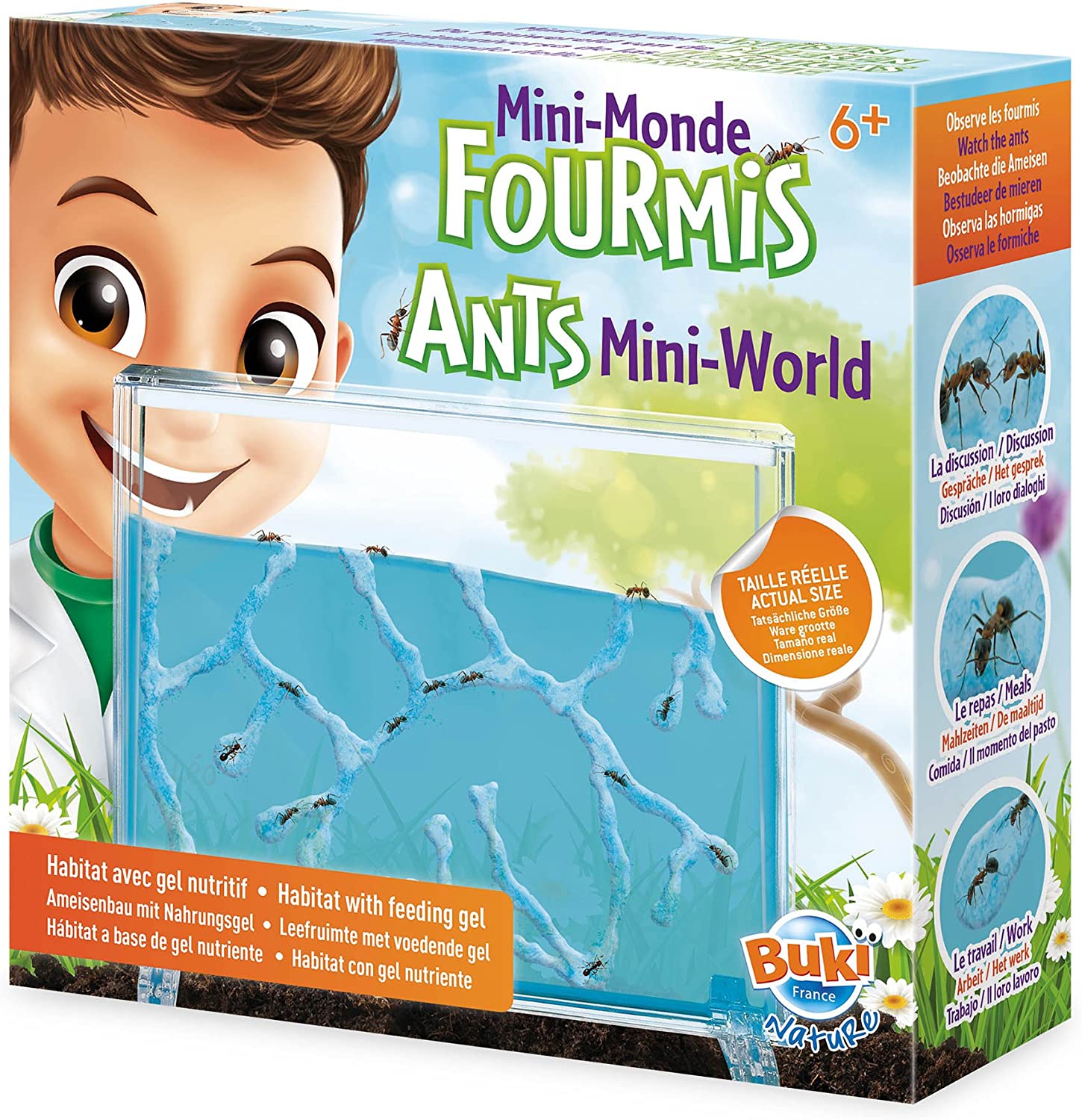 monde fourmis.jpg