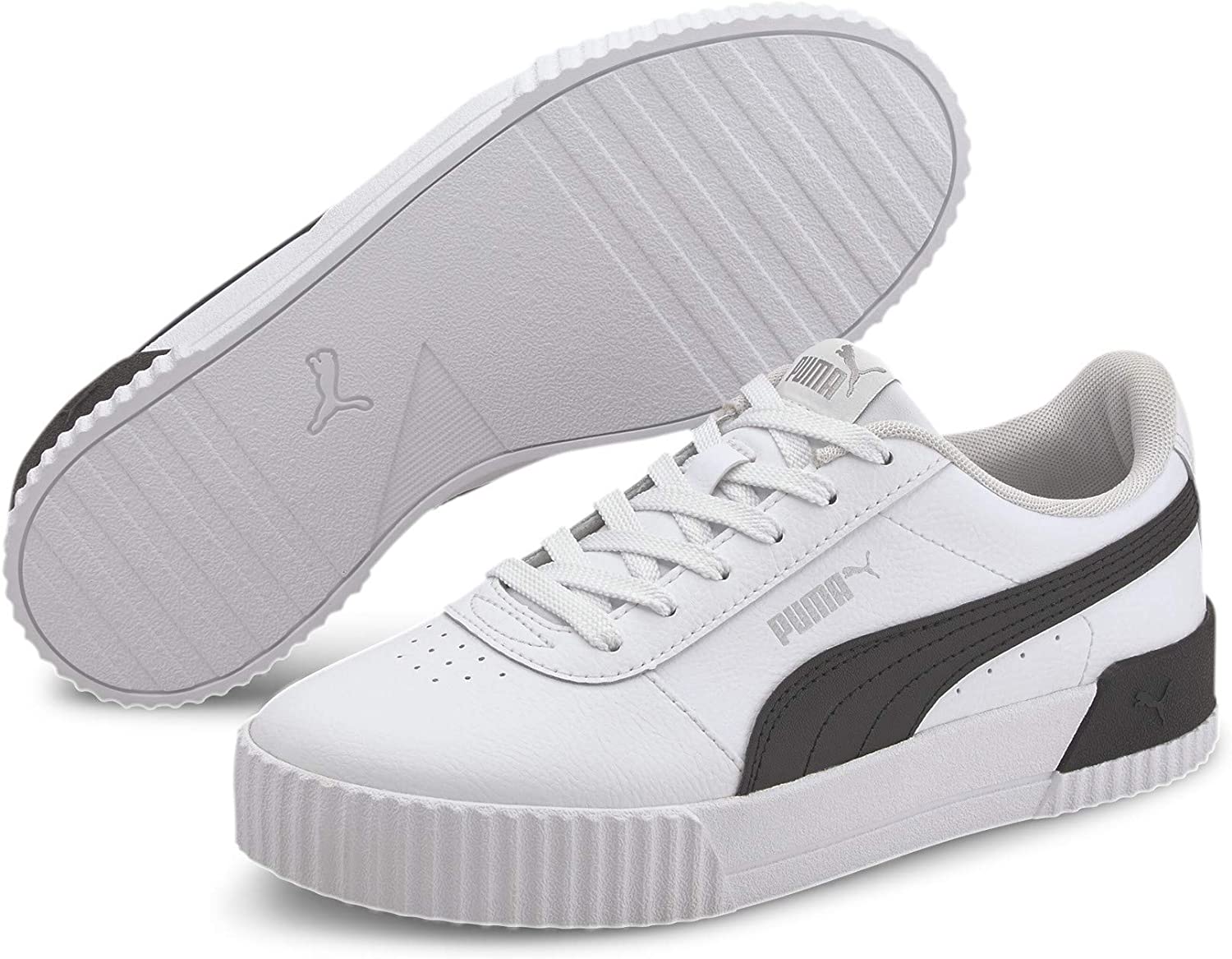 puma carina.jpg