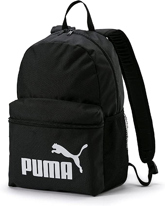 puma.jpg