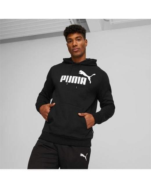 puma.jpg