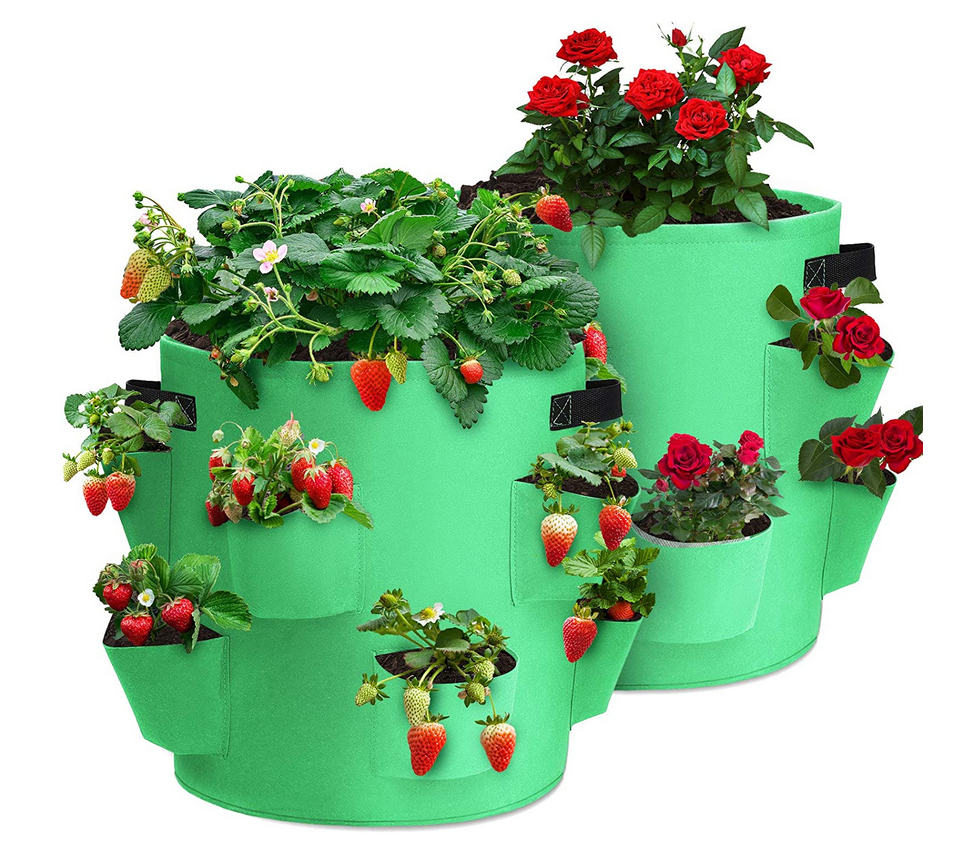 Sac-de-Culture-de-Fraises-2-Pièces-10-Gallons-Sac-de-Plantation-de-Jardin-en-Textile-Non-Tissé...png