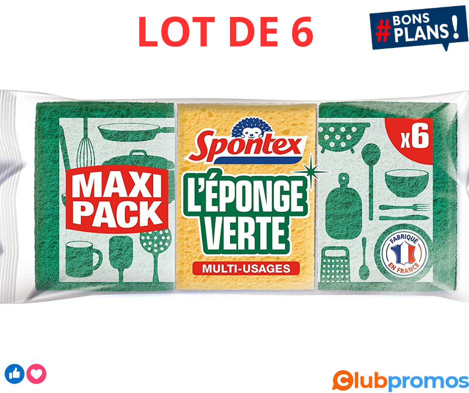 SPONTEX - L'éponge verte - 6 éponges grattantes vertes - Economique .png