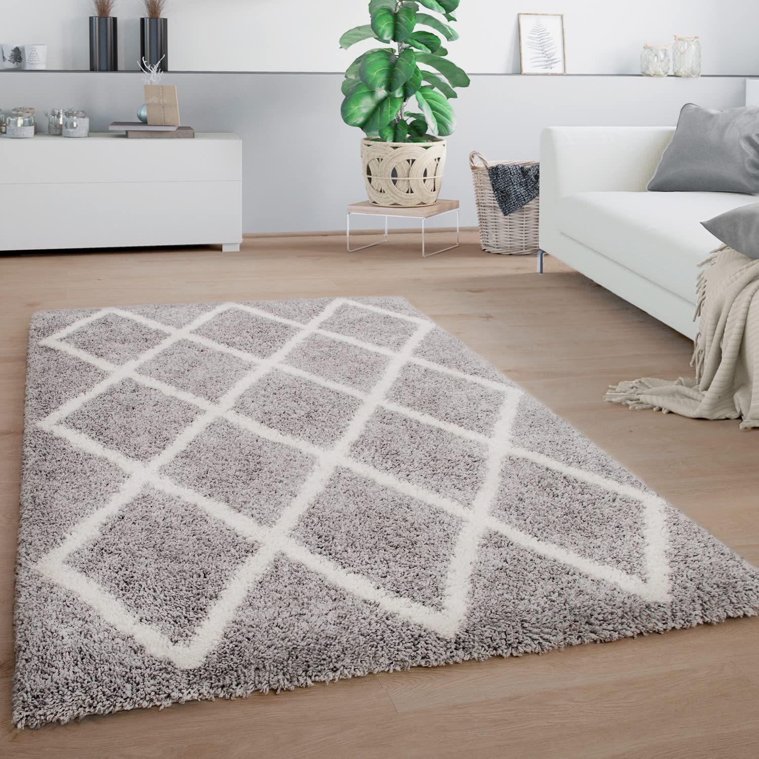 tapis.jpg