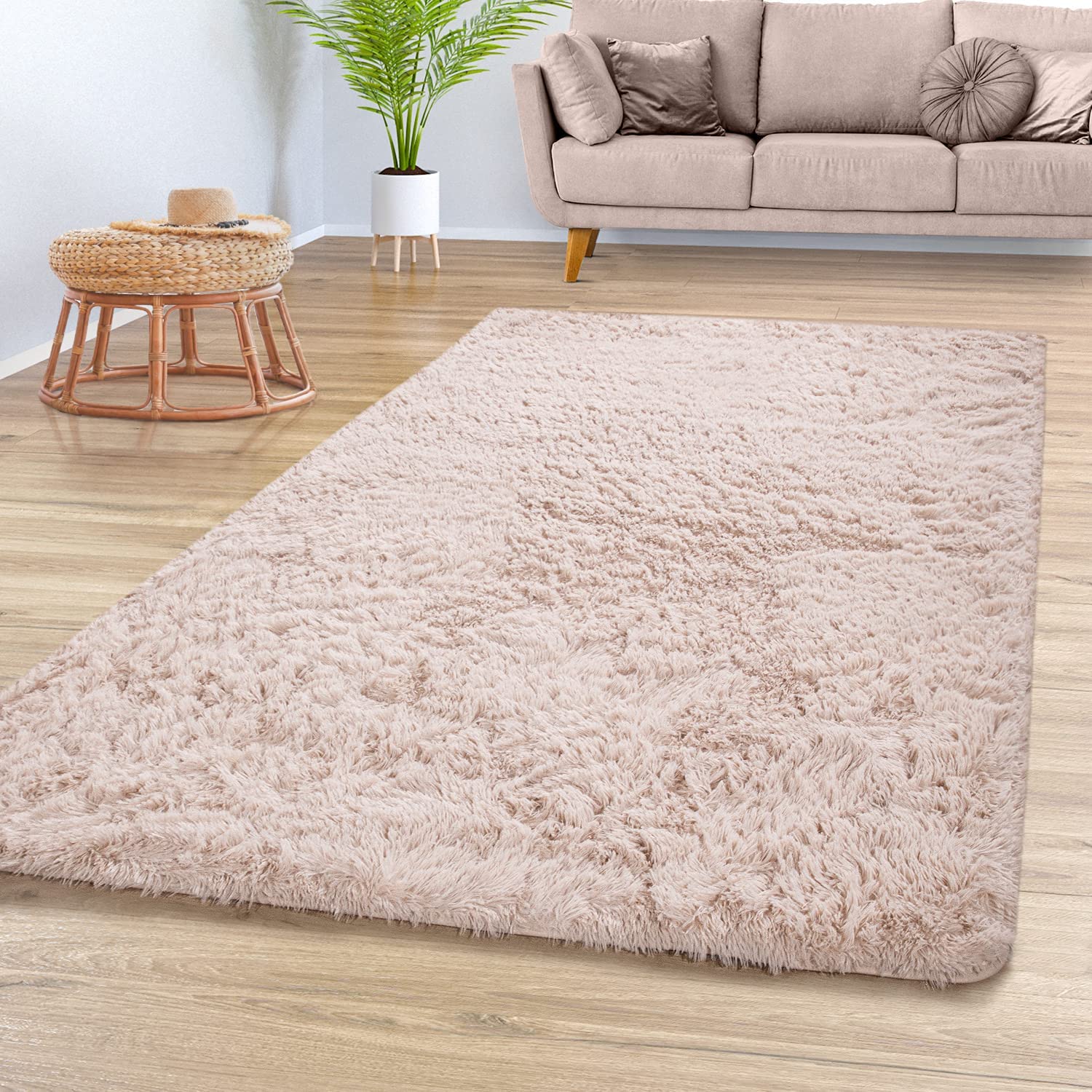 tapis.jpg