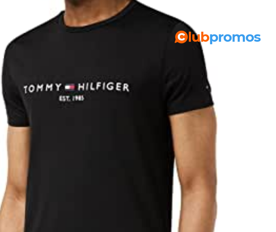 tommy hilfiger(1).png