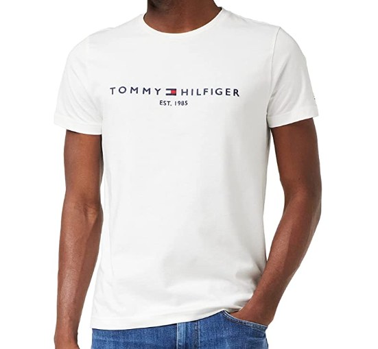 tommy hilfiger.jpg