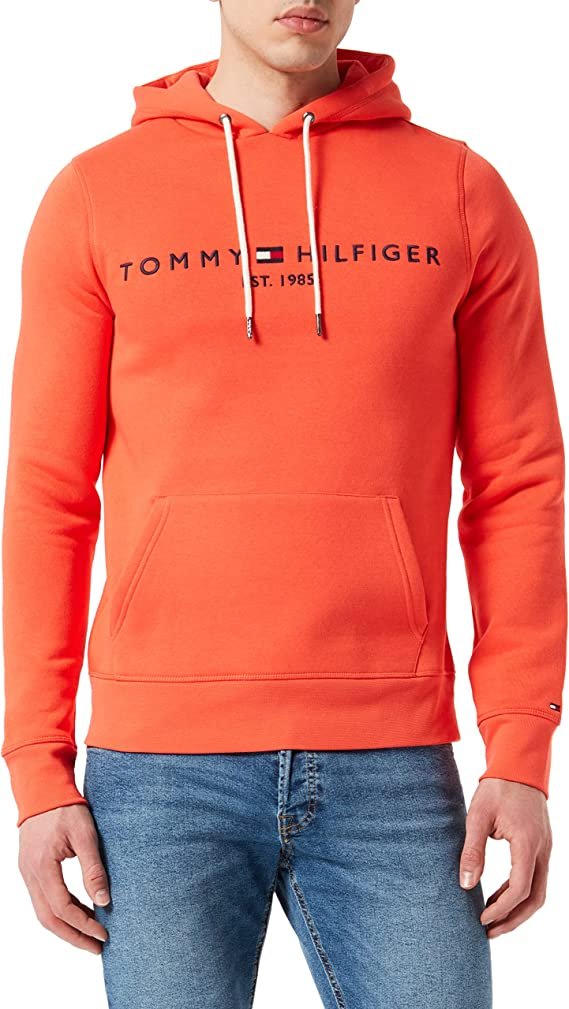 tommy hilfiger.jpg