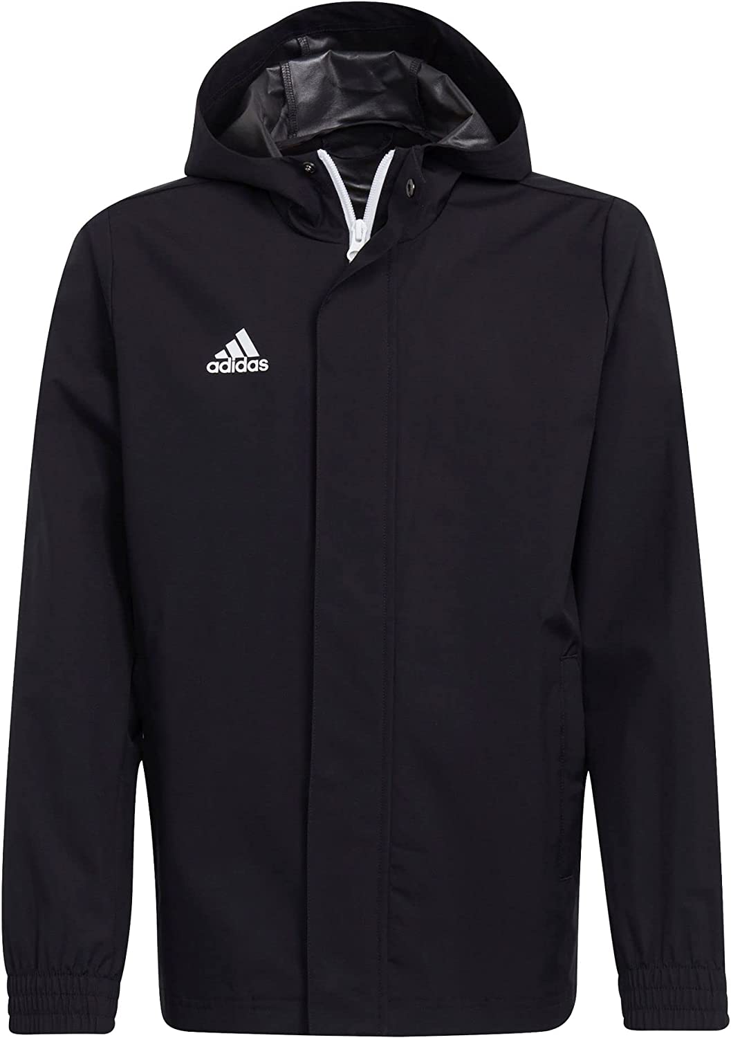 veste adidas.jpg