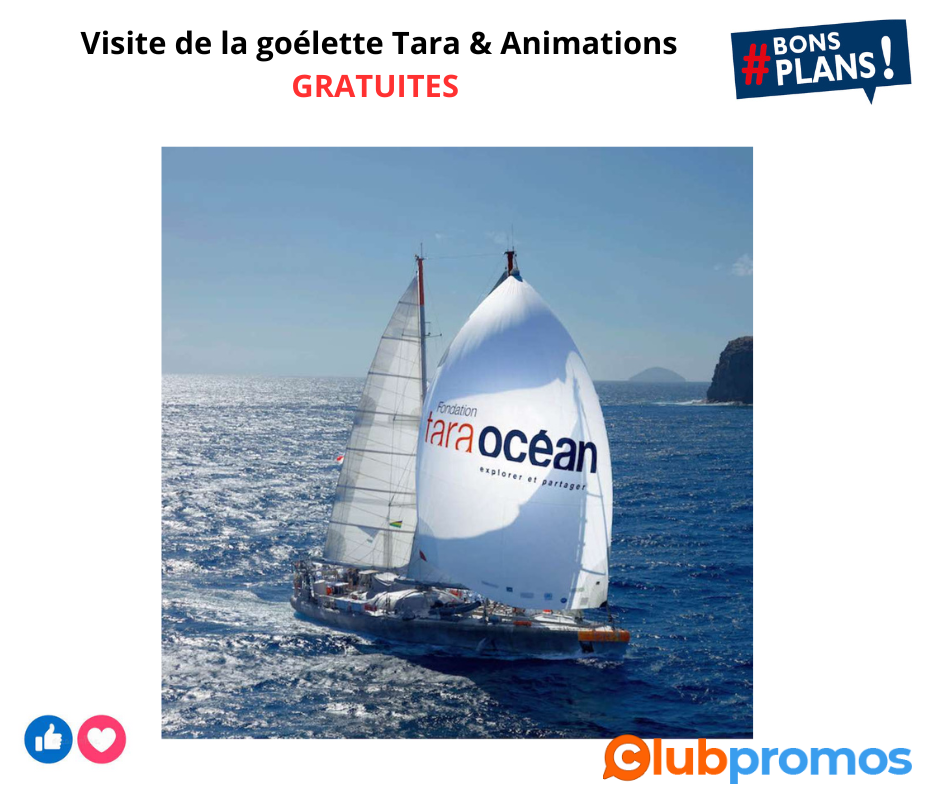 Visite de la goélette Tara 2023 Roscoff.png