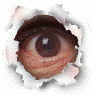 oeil.gif