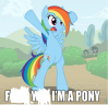 pony1.png