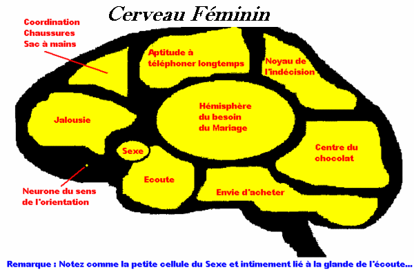 cervea10.gif