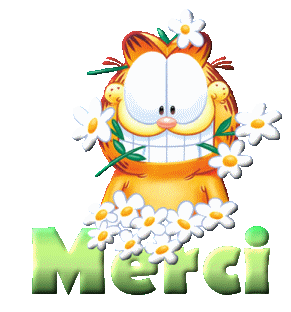 merci-11.gif