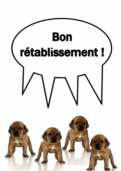 980-Bon%20retablissement%20petit%20chien_maxi.gif