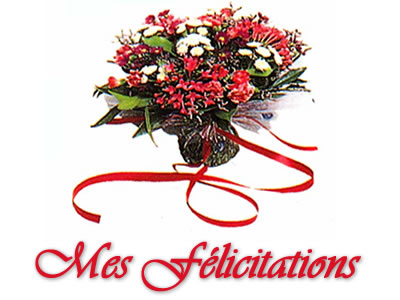 felicitations1-331156.jpg