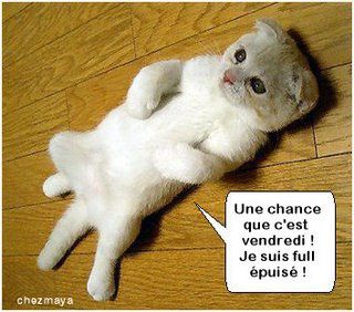 bon-vendredi-chat--puis-.jpg