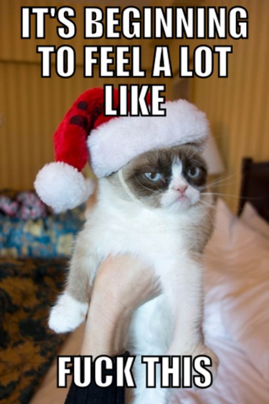 grumpy-cat-christmas-2.jpg