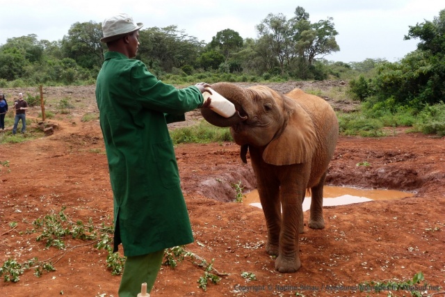 kenya_2011_0604-114335.jpg