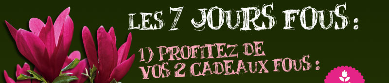 7-JOURS-FOUS_02.jpg