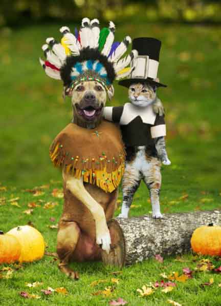 DogCatThanksgiving.jpg