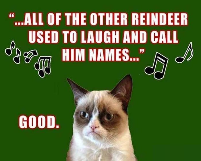 grumpy-cat-christmas-3.jpg