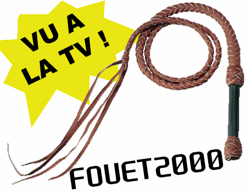 fouet210.jpg