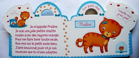 Mon-petit-chat-Praline-Vanille-6.JPG