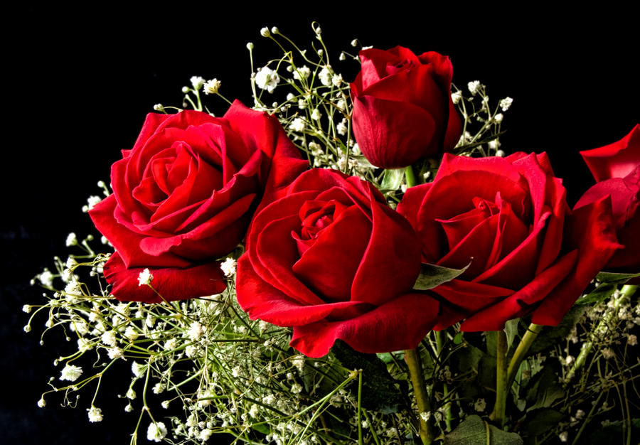 bouquet_of_roses_by_muffet1-d38f7s5.jpg