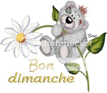 koala-bon-dimanche.jpg