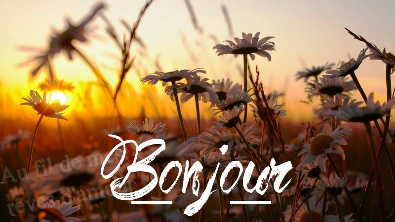 bonjour_047.jpg