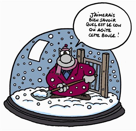 boule-de-neige.jpg