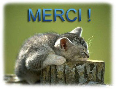 merci-copie-1.jpg