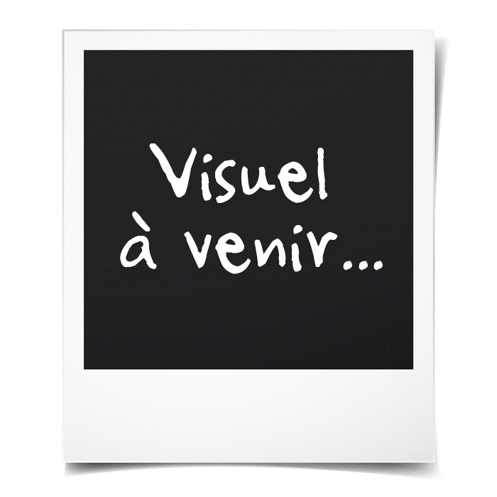 ps4-500-go-noire-overwatch-gta-v-batman-arkh.jpg